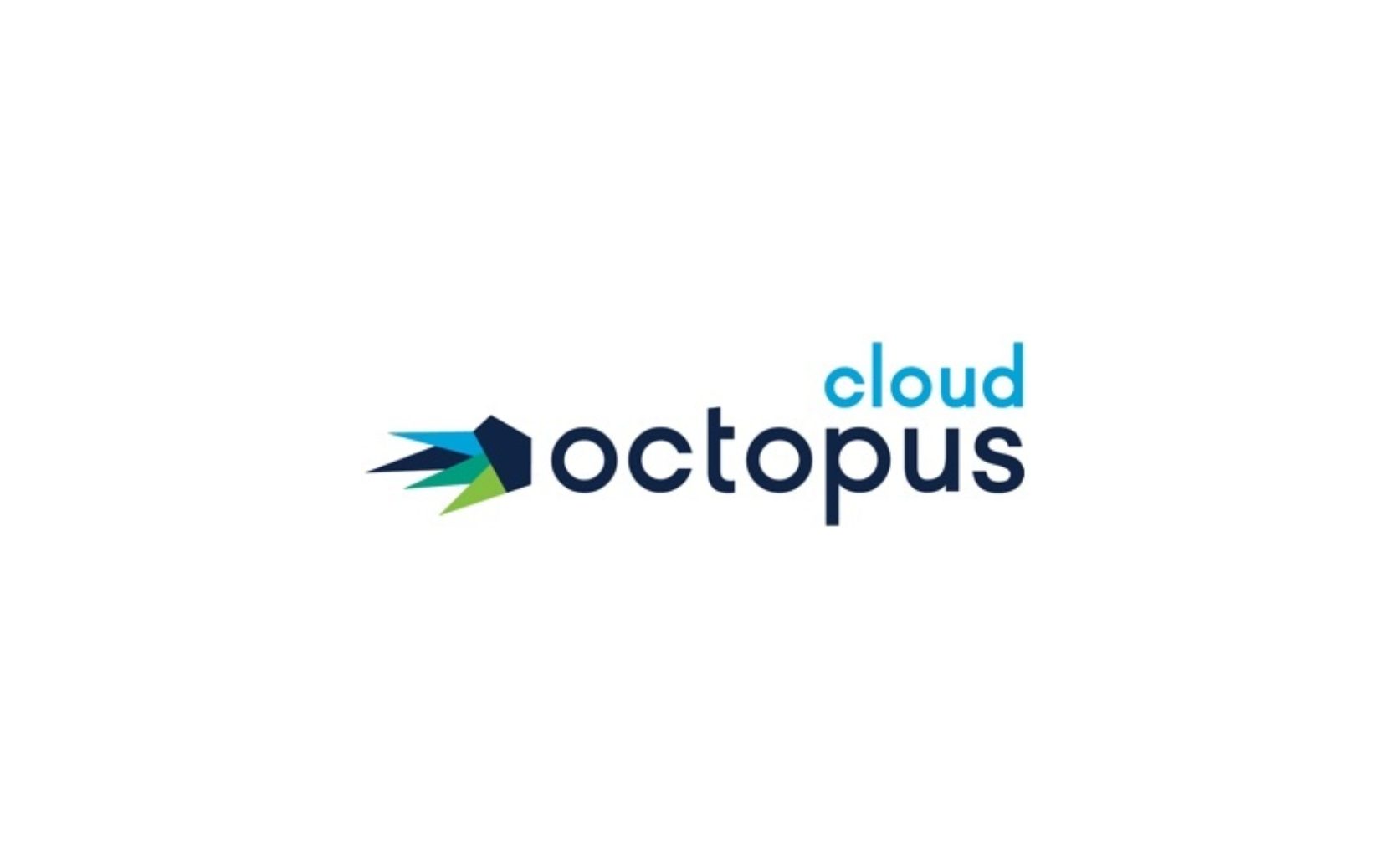 Octopus Cloud